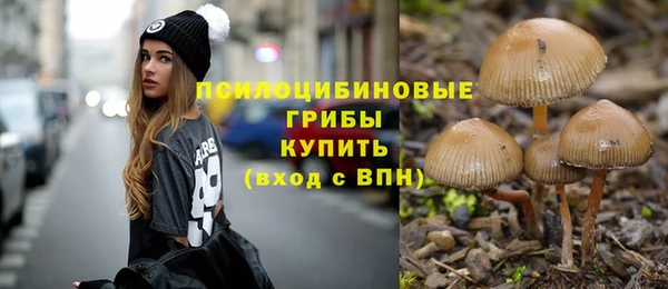 сатива Бронницы