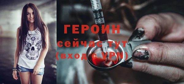 ешки Бородино