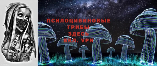 ешки Бородино