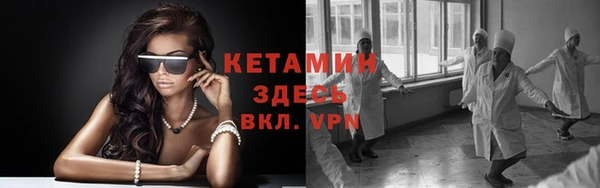 сатива Бронницы