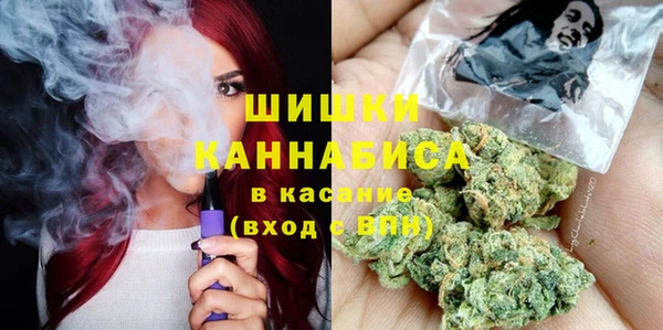ешки Бородино