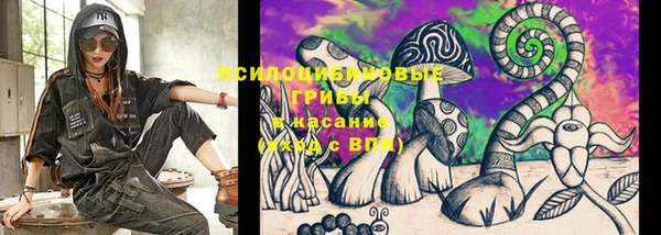 сатива Бронницы