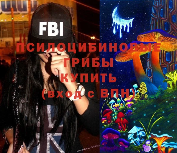 ешки Бородино