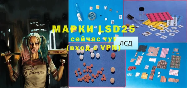 ешки Бородино