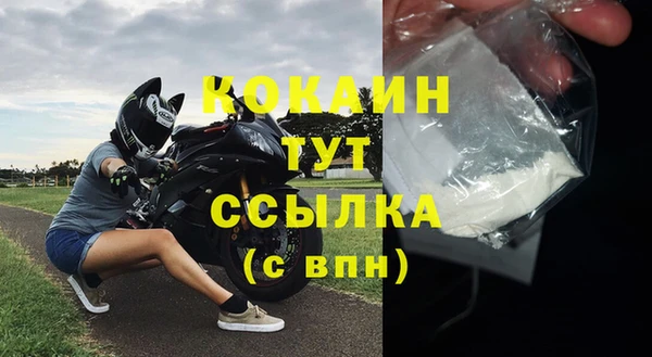 сатива Бронницы